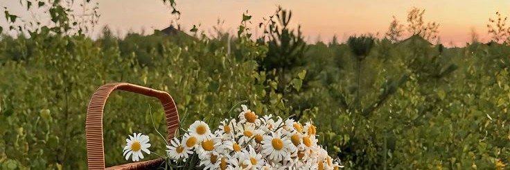 ayunnirodzi's profile banner image