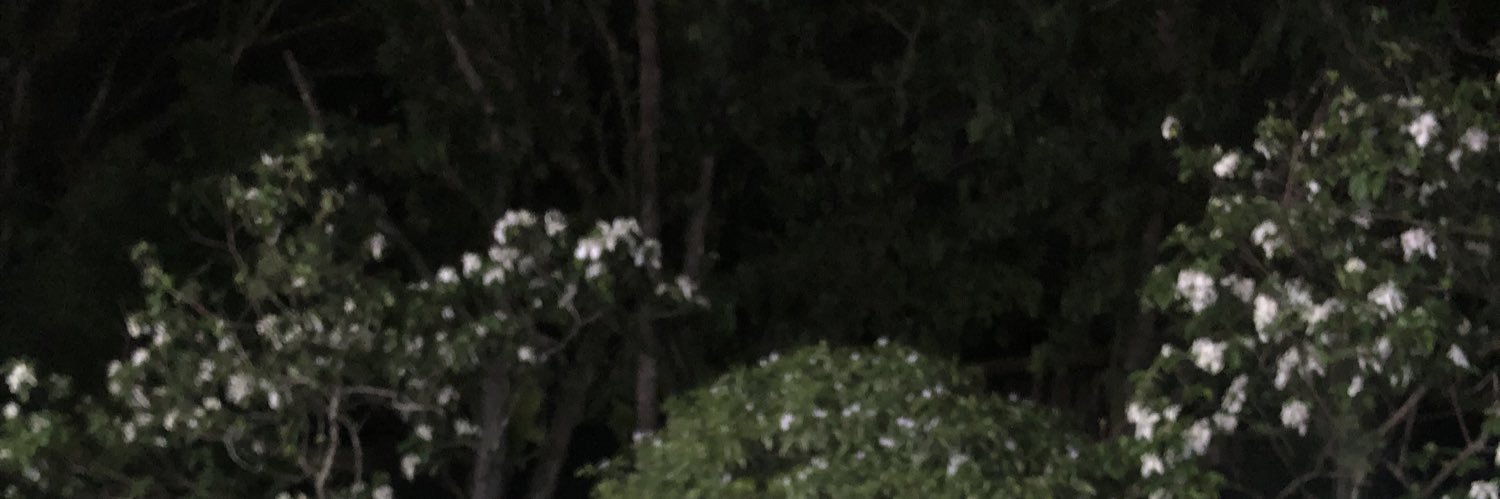 katzkarryl's profile banner image