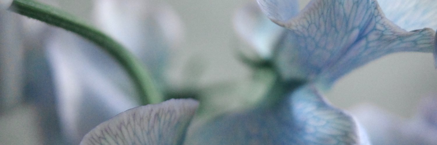 塩谷 舞　mai shiotani banner