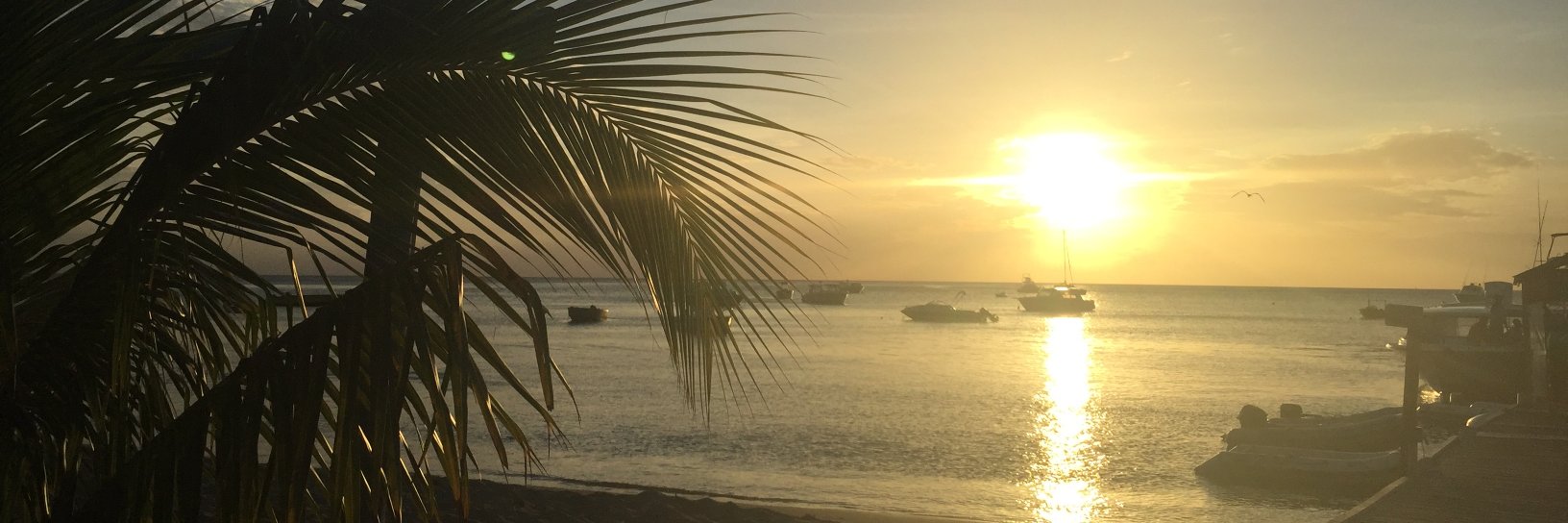 Sara Darling Writer banner