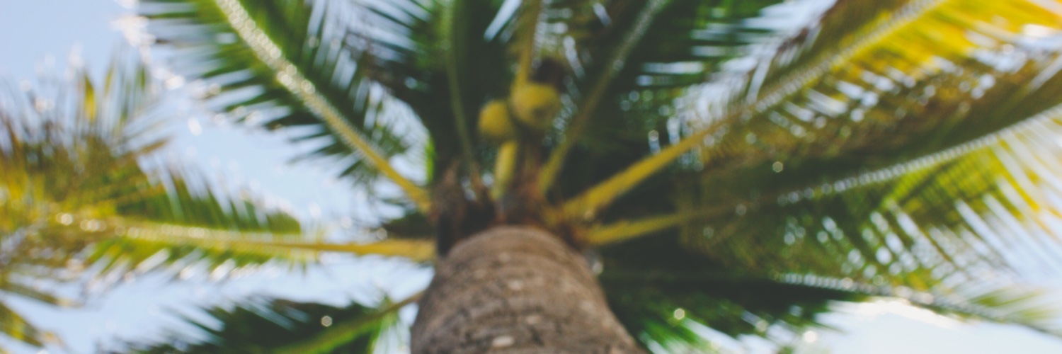 fertzzc's profile banner image