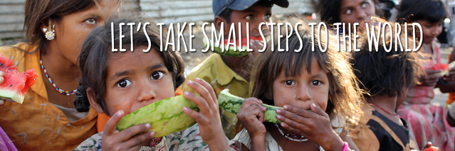 Small Steps Internat banner