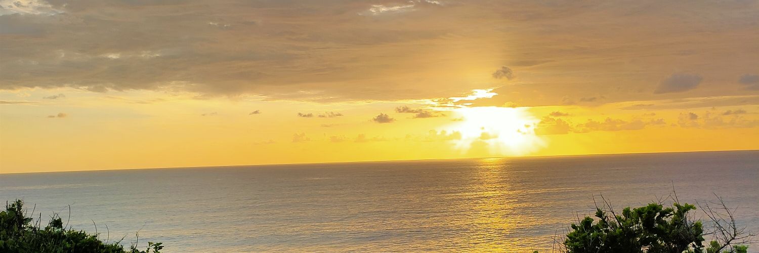 Pasclasic's profile banner image
