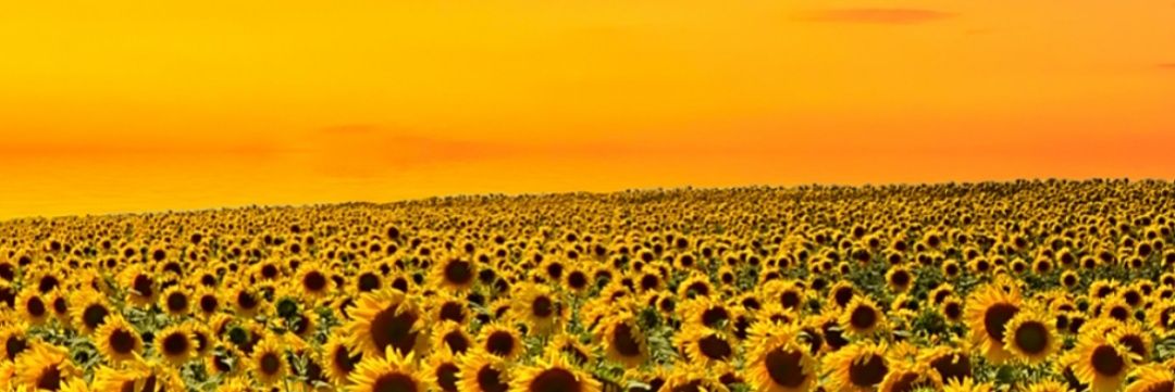 Mix2709's profile banner image