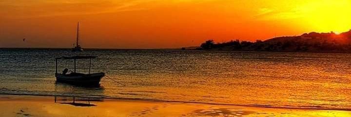 BuiBui05's profile banner image