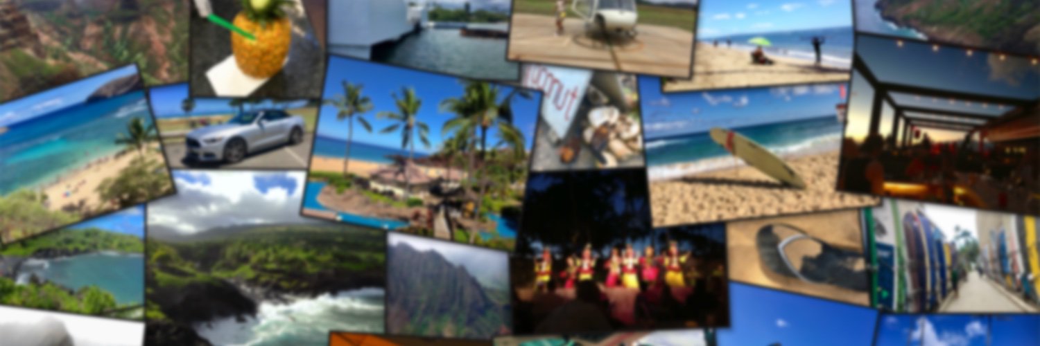 WiseTrainingOwl's profile banner image