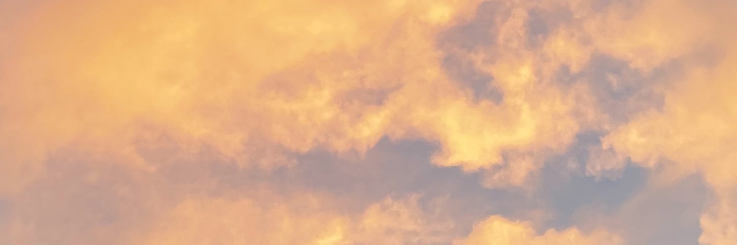eco_hoe's profile banner image