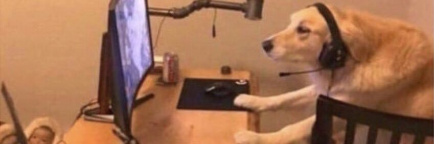 Crystal Navarro banner