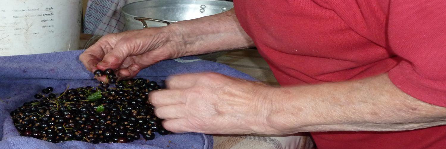 Eamonn Fitzgerald banner