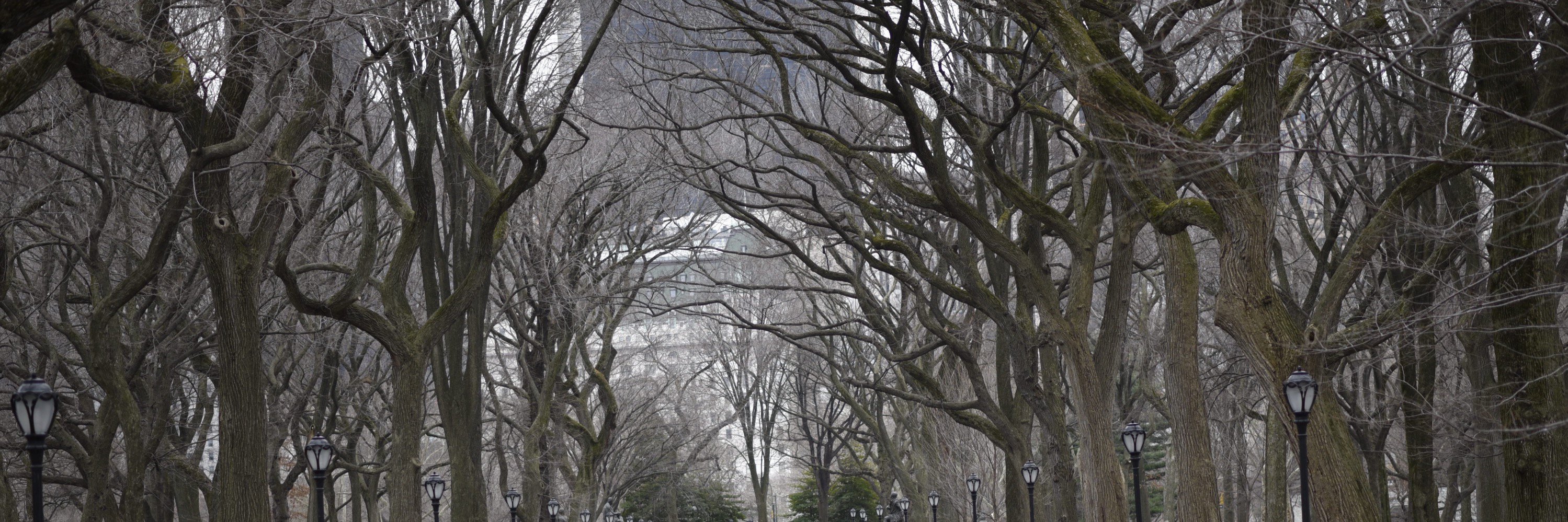 Ｗ Ｅ Ｓ  Ｇ Ｏ Ｒ Ｄ Ｏ Ｎ banner