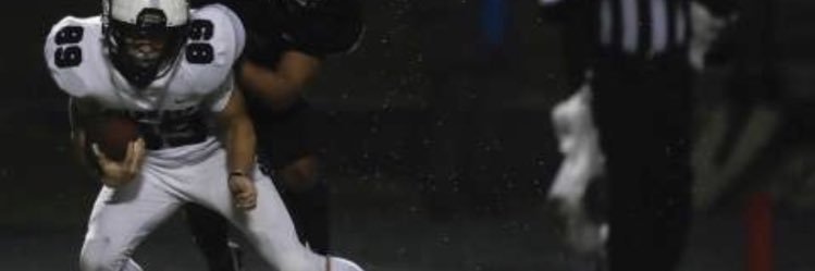 Tanner Hayes banner