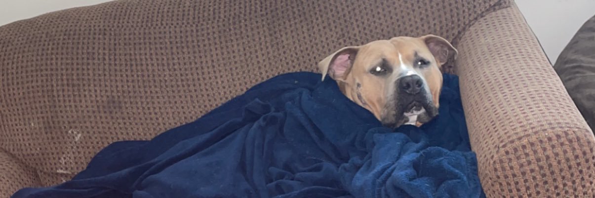 DevinStogner's profile banner image