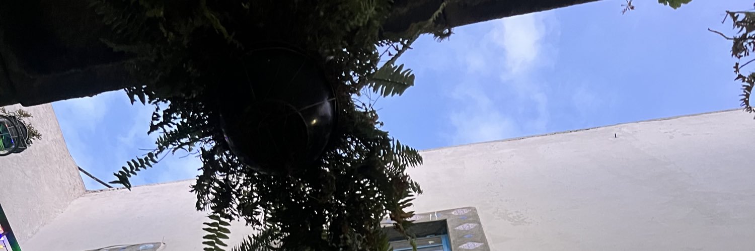 stnrchck's profile banner image