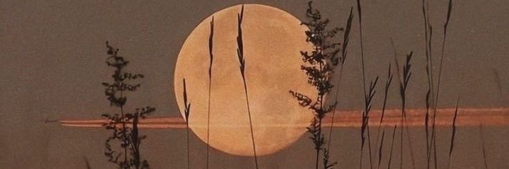 𝒶𝓁𝑒𝓍 🧡 banner