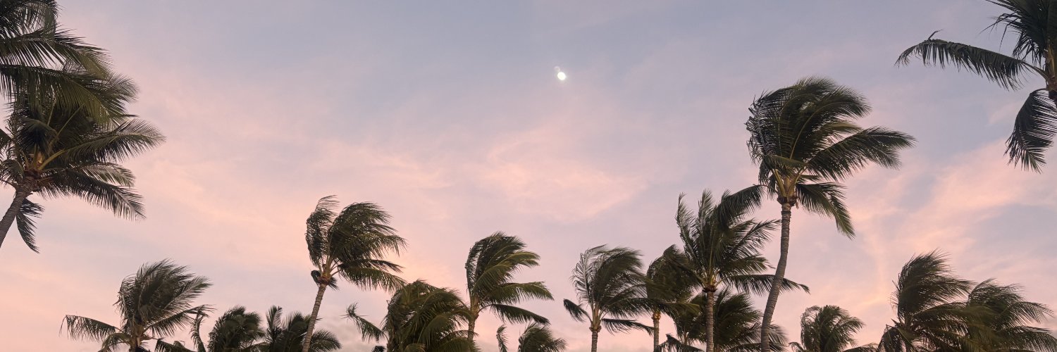 mittic's profile banner image