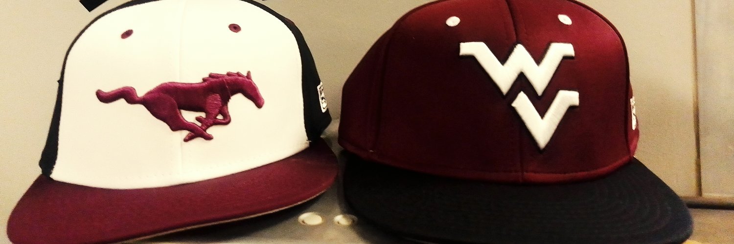 Mustangs Baseball banner