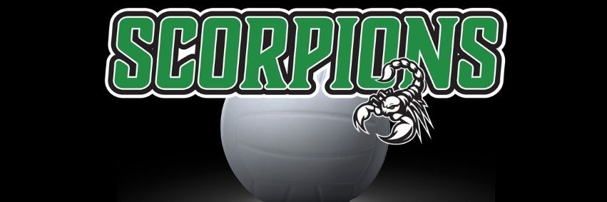 Scorpions Volleyball Club banner