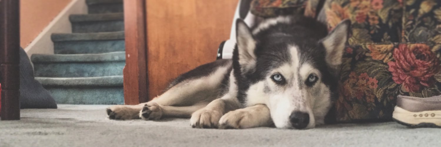NickHChicken's profile banner image