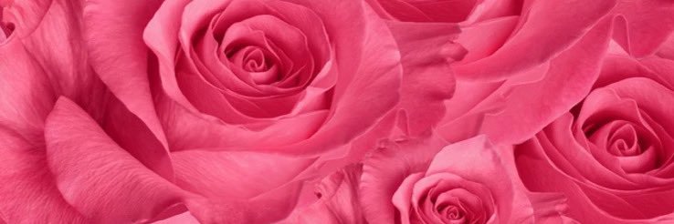 MISS MARCH 👑 banner