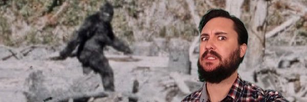 standardhipster's profile banner image