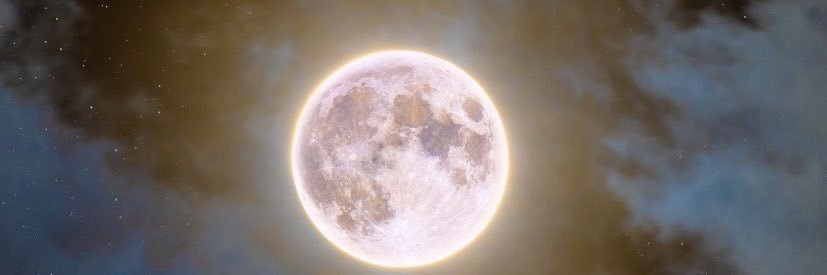 𝚠𝚉𝚞𝚙𝚙𝙼𝚘’💕🧛🏾 banner