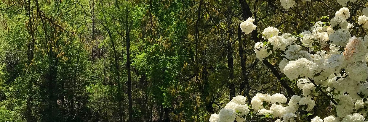 Emily__Brock's profile banner image