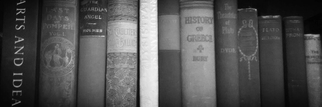 Isabella Flynn banner