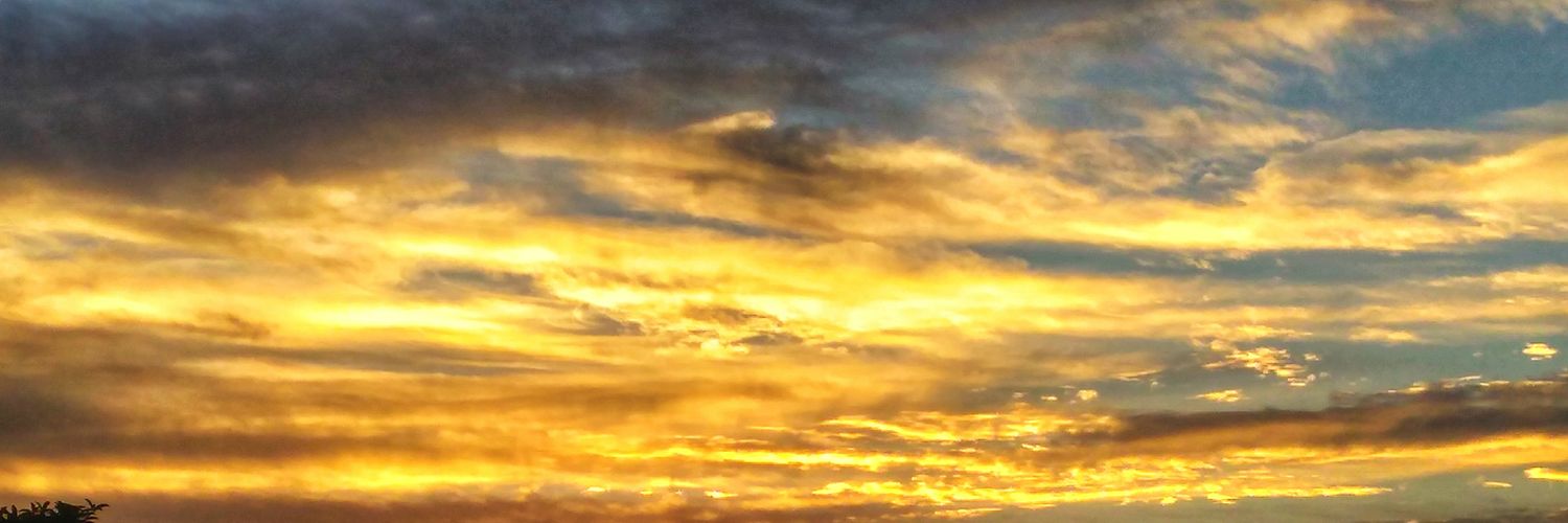 Newton Harris banner