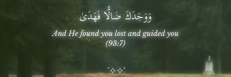 WeSamTarek8's profile banner image