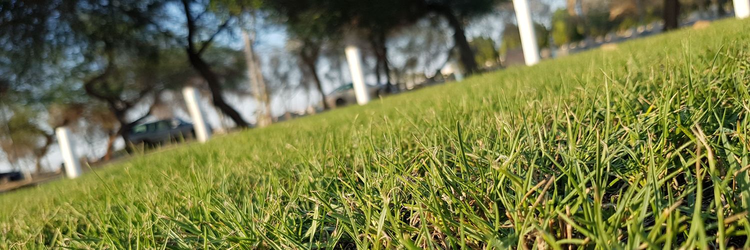 auto_8's profile banner image
