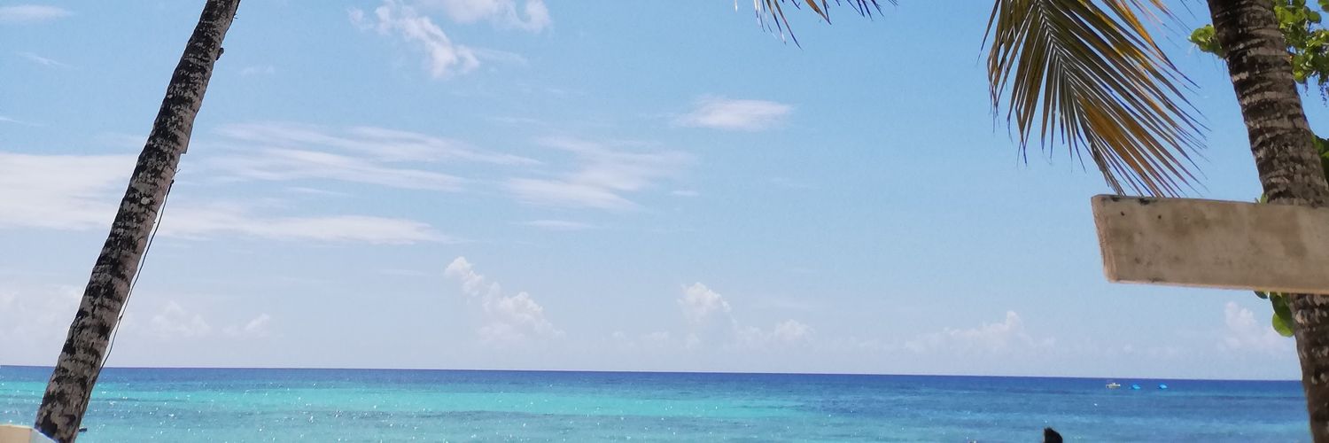 Antonium05's profile banner image