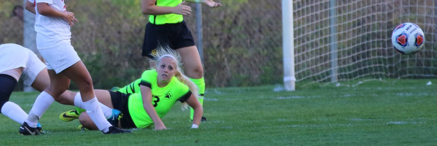 ChloeBerka's profile banner image