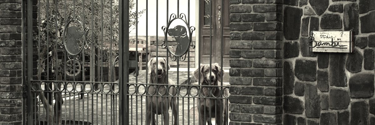 studiobambi's profile banner image