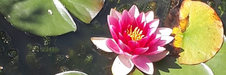 Toovey55's profile banner image
