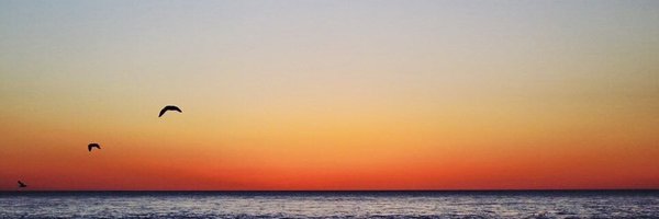 CCarrMD Profile Banner