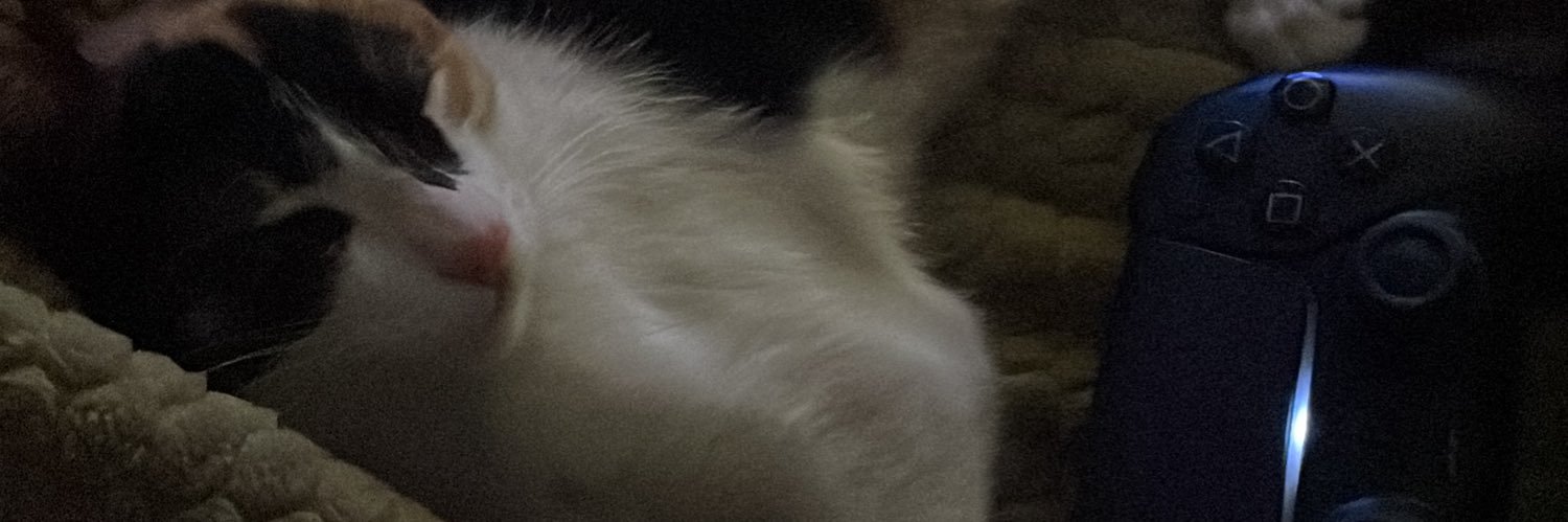 fortes10_'s profile banner image