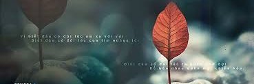 1DIsMyAll's profile banner image