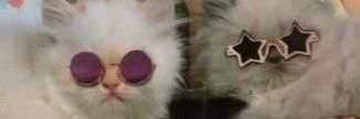 Chloc0's profile banner image