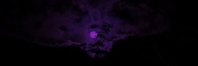 MenacingRevenge's profile banner image