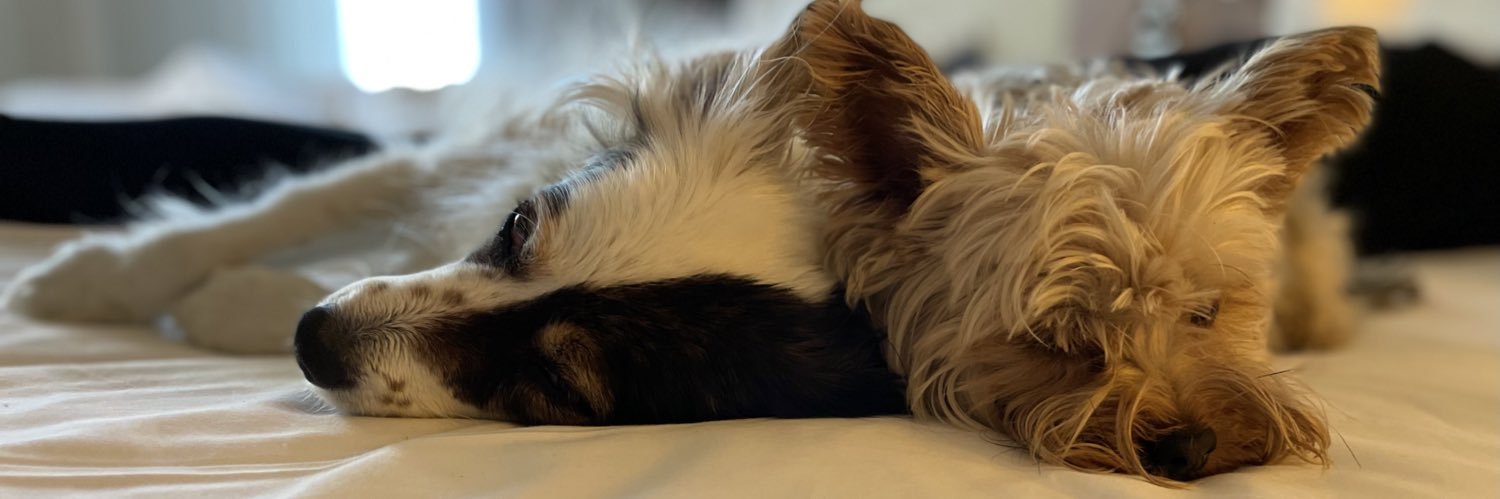 julimejiae's profile banner image