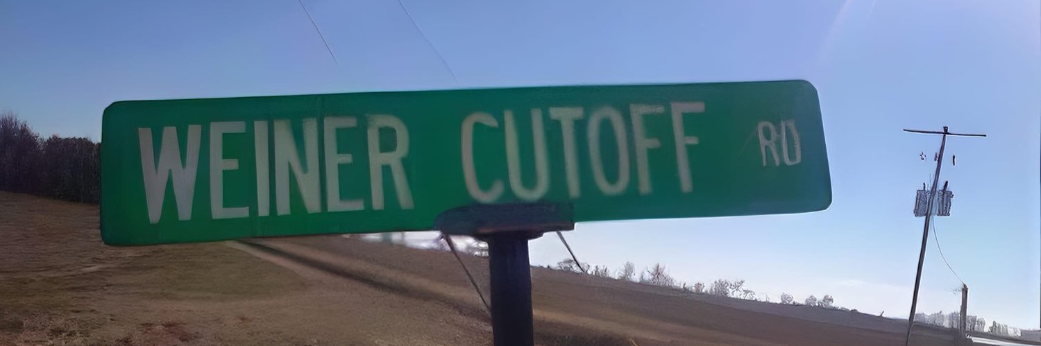 Hawaiian Tony Danza banner