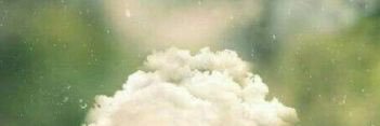 moon_27_'s profile banner image