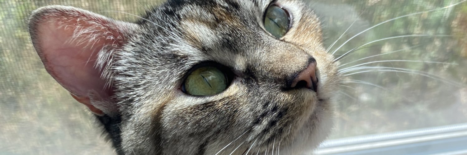 lizzzeeth_'s profile banner image