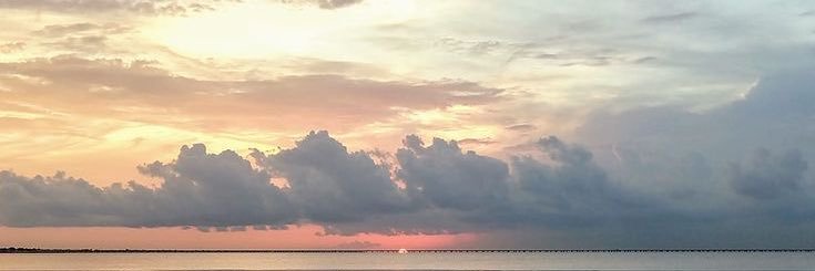 junlynL's profile banner image