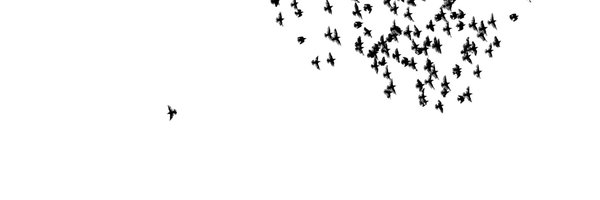 nutrich Profile Banner