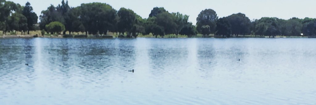 Cashicuke__'s profile banner image