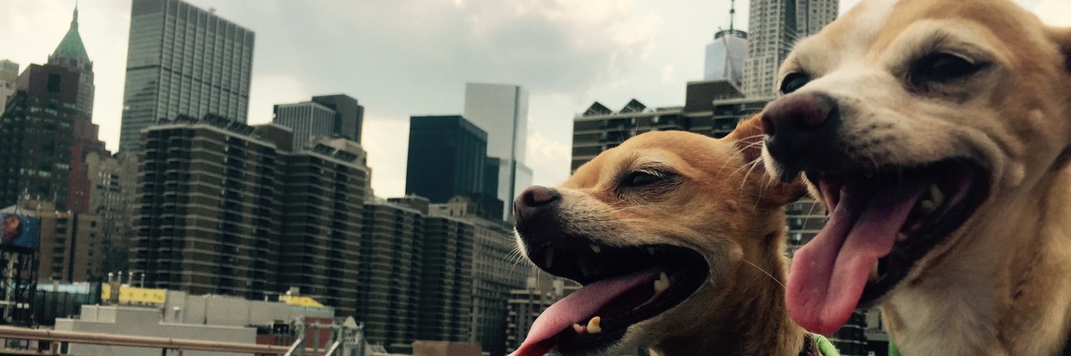 a picayune is a tree 🚲 Ⓐ banner