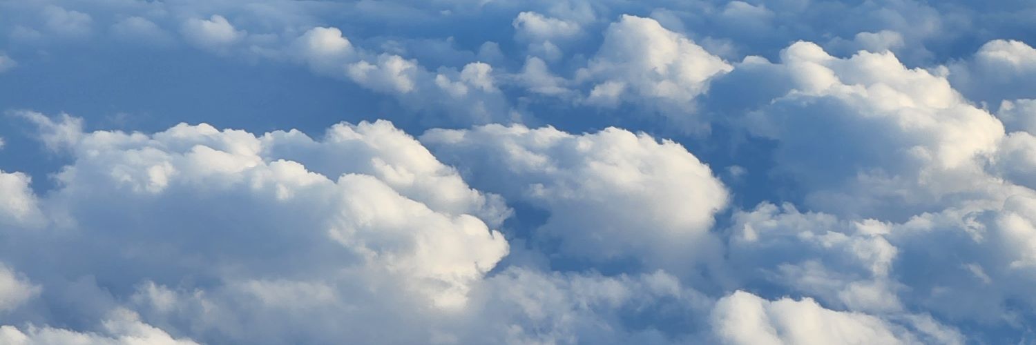 🌻Maria Arteaga🌻 banner