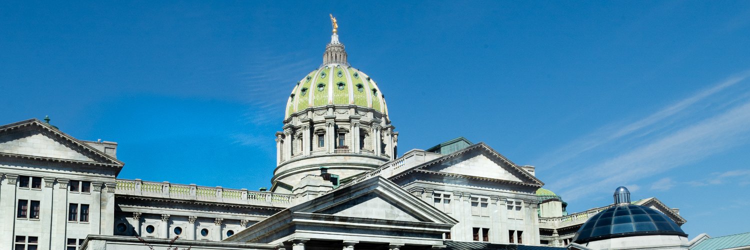 Rep. Dan Goughnour's banner