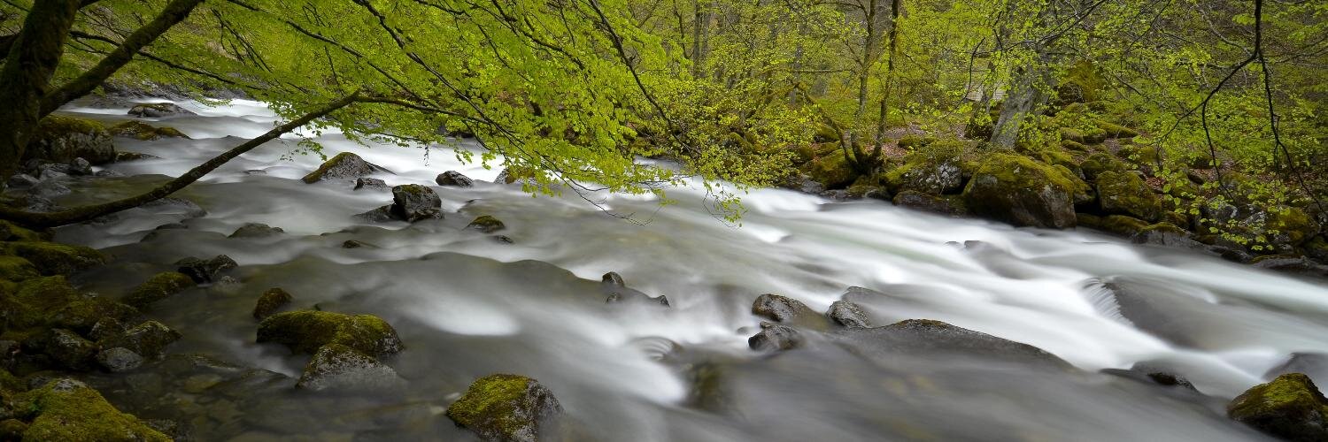 krupaphoto's profile banner image